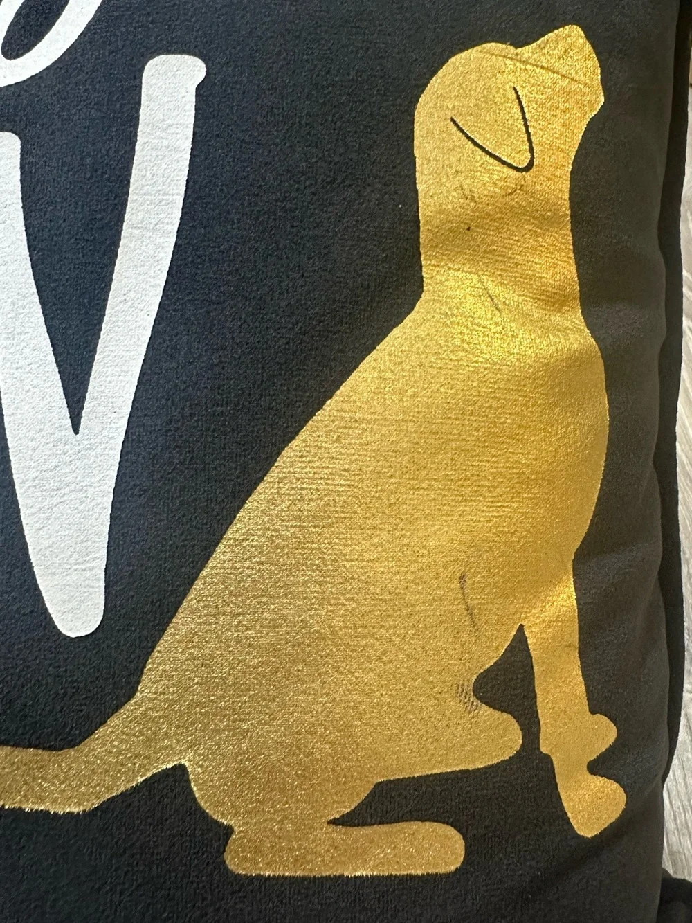 Stay PAW-sitive Gold & Black Dog Decorative Pillow - Pets Dog Lover
